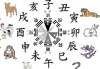 生肖是什么