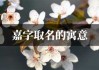 嘉字取名牛宝宝，寓意美好与