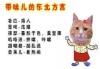 猫咪算命，东北方言中的神秘解读，你知道它怎么叫吗？
