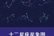 星象分析，十二星座开什么车？