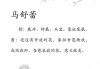 姓牛宝宝取名，传承与创新的智慧