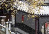 灵谷寺可以求签吗？超自然力量与现代人的心灵对话