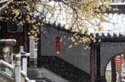 灵谷寺可以求签吗?超自然力量与现代人的心灵对话 灵谷寺可以求签吗?超自然力量与现代人的心灵对话