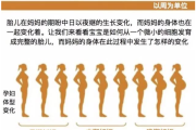 孕期八字测算，科学与迷信的结合