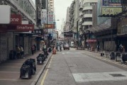 街头的算命鸟，解读现代生活的迷思