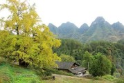 金溪算命的在什么地方