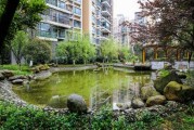小区住户讲究，如何在现代生活中平衡自然与人文