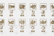十二生肖的奥秘，探寻生肖与家居的和谐共鸣