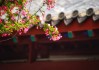 二月搬家，春意盎然