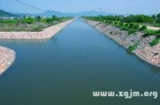 梦见大河蚂蝗，预兆与解梦解析