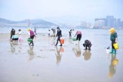 二零一九年农历四月十五日吉时，一个的日子