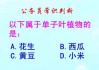 门前三甲，选择一个合适的植物，开启你的之门