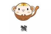 2017年生肖猴运势解析，开运指南
