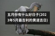 揭秘25号吉时，把握最佳时机，成就美好未来