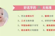 宝宝取名苏轼，传统与现代的结合