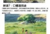 名字中的，你的名字是否真的命中注定？
