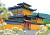 胶州求签寺庙全攻略，与祈福的圣地
