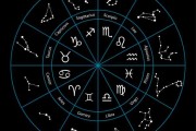 十二星座专属于什么