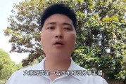 要吸引人，可能需要突出车牌的独特性或者的神秘感。比如探秘车牌陕A9N40P，背后的文化与意义这样的标题，既点明了车牌，又暗示了深层内容