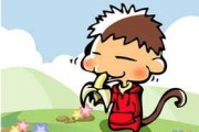生肖猴运势解析，事业与健康 focus on your goals and well-being