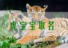 虎年宝宝取名，巧用沙字，寓意