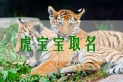 虎年宝宝取名，巧用沙字，寓意