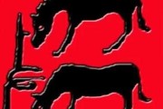 冯姓宝宝取名指南，好听又寓意深远的名字推荐
