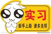 新手必学的入门指南