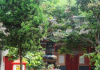竹林寺求签算命，一场跨越时空的探索