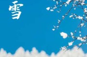 大雪节气生肖运势解析，天时地利人和