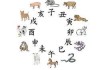 十二生肖相配对，吉凶解析与 Compatibility Insights