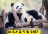 佑安宝宝，那些你可能不知道的取名灵感