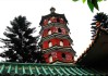 祖庙仁寿寺的求签文化，历史与现代的对话
