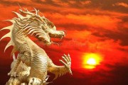 龙宝宝命名灵感，创意与策略