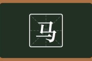 属马宝宝取名指南，传统与现代结合