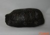 金求签，古代占卜智慧的瑰宝