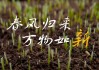 寒尽春来 万物更新