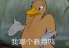 谜语中的鸟儿，解梦之谜