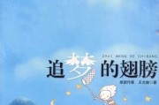 梦见追鸟，解读与启示