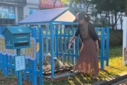 家养恶犬的讲究，平衡和谐的艺术