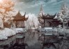 八字算命，解读命运的古老智慧