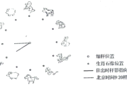 端午安康，生肖鼠运势解析