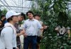 好，用户让我写一篇关于黄岩开放求签寺庙的文章，首先得确定标题。标题要简洁又能吸引人，我想到黄岩古寺庙与现代文明的对话这个标题，既点出了寺庙的历史，又暗示了现代元素的融入