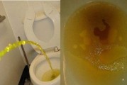 解梦屋里的尿渍，解析梦境中的尿渍符号