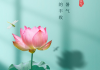 处暑前后，生肖运势如何？