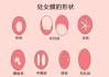 座女性，优雅与智慧的结合