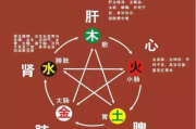八字五行命理测算方法，解析命理学的奥秘