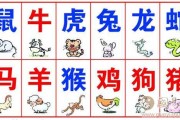 生肖运势解析,12月23日出生者的 lucky day 生肖运势解析,12月23日出生者的 lucky day