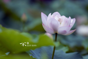 2018年9月29日，一个充满的时刻