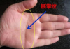 手掌横纹，解读命运的密钥？从科学到心理学的深度解析